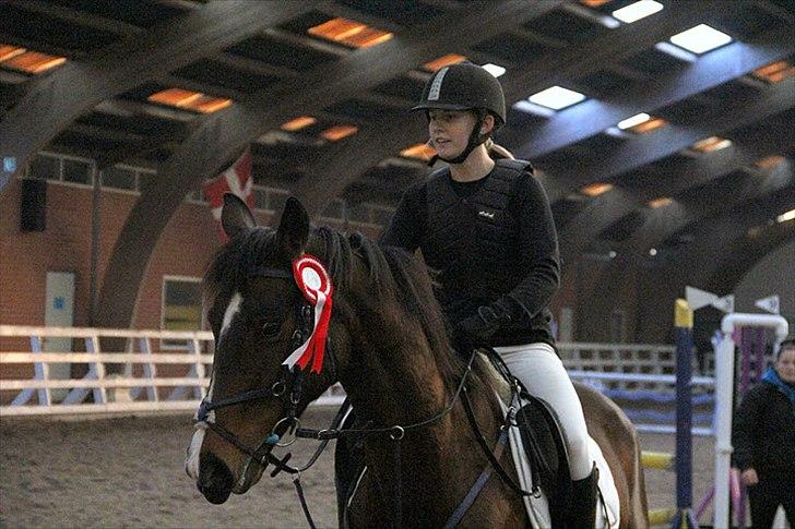 Anden særlig race Savannah - Stævne 100 cm (Løvfalds) Fotograf; Maria Rasch billede 17