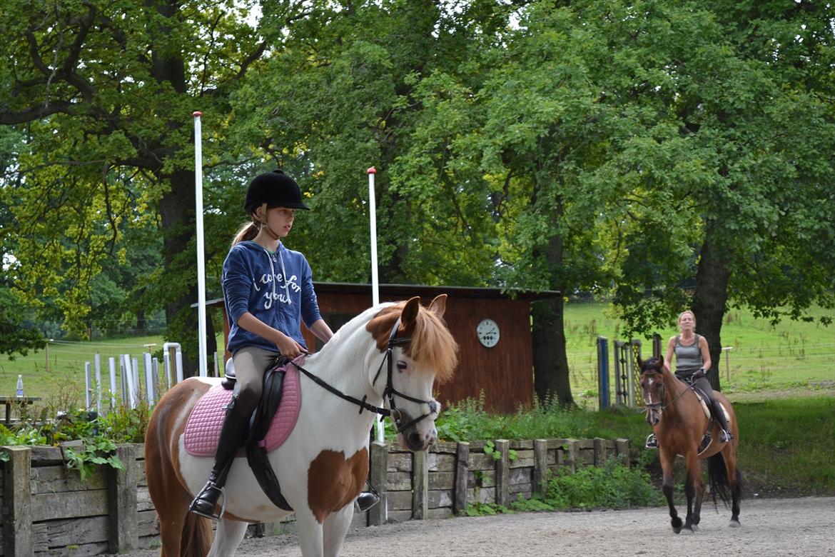 Anden særlig race Rasmus billede 10