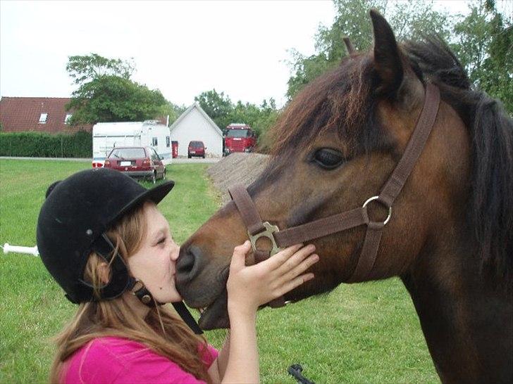Anden særlig race Zigge Z billede 20