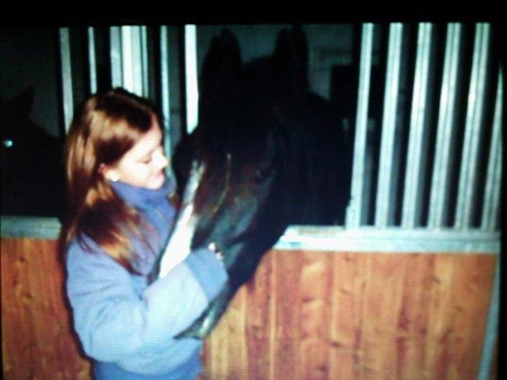 Tinker cheval billede 12