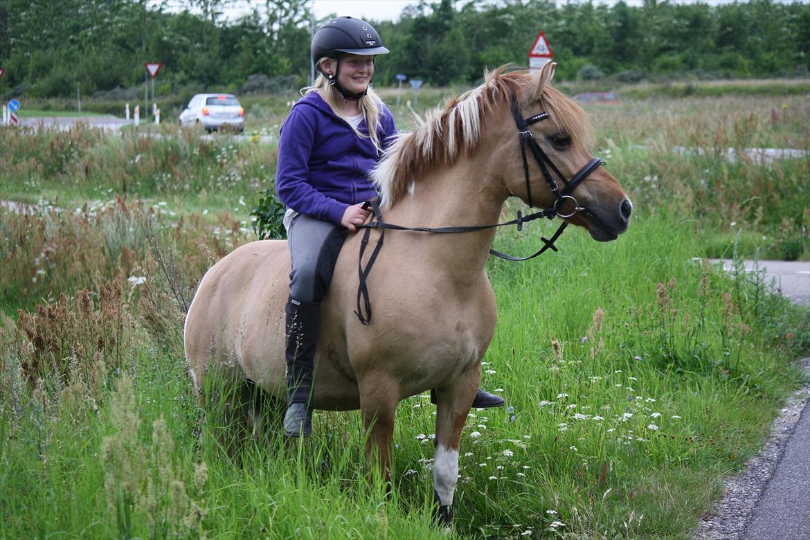 Anden særlig race Molly<3 - Smukke! billede 15