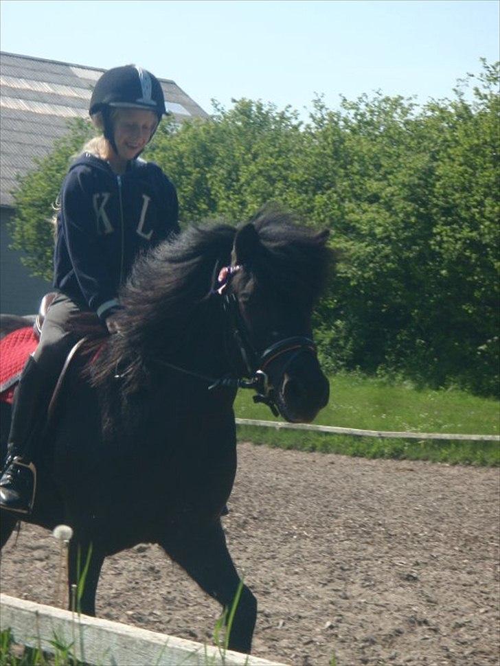 Anden særlig race Beauty  billede 1