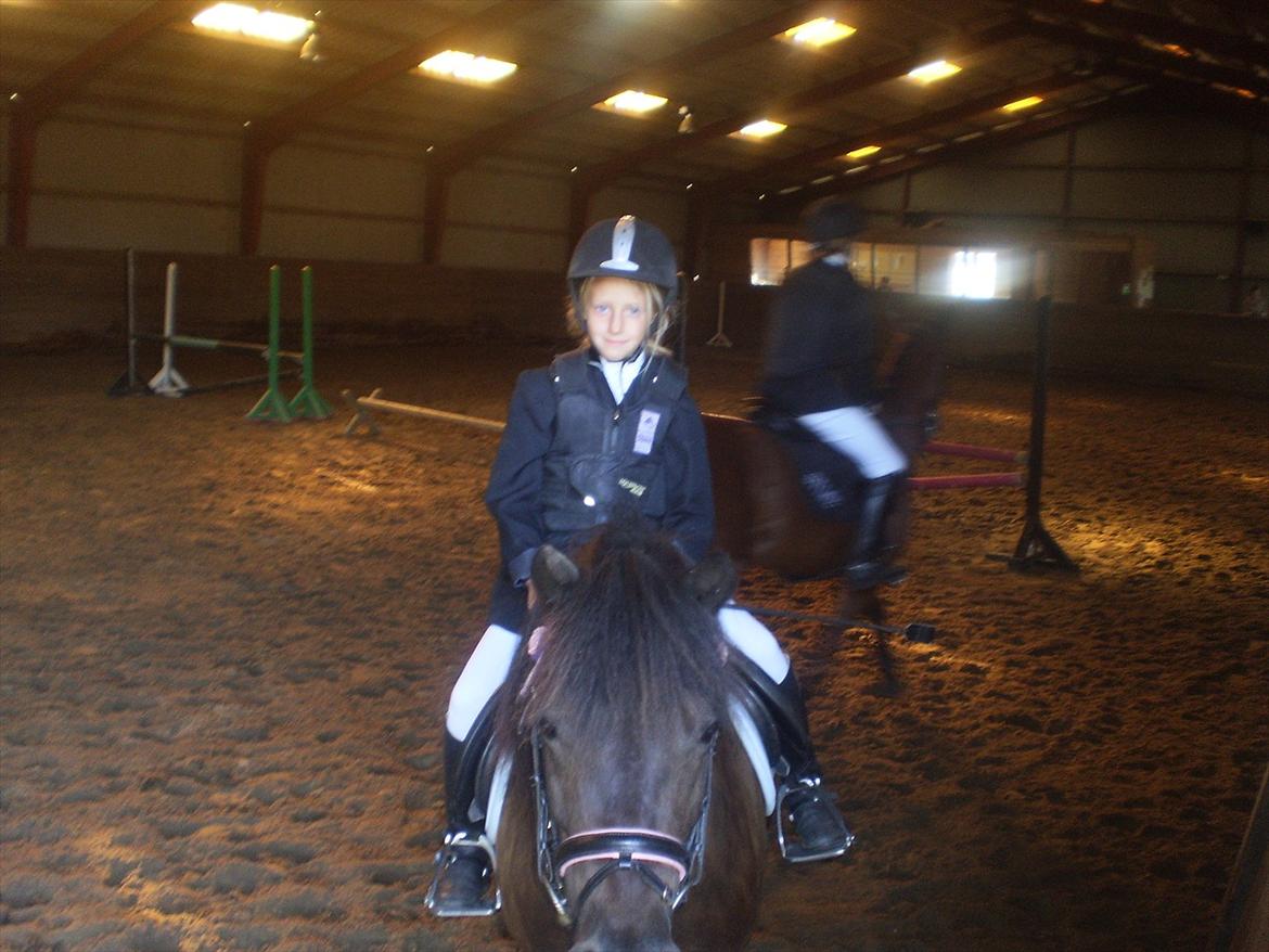 Anden særlig race Beauty  billede 2