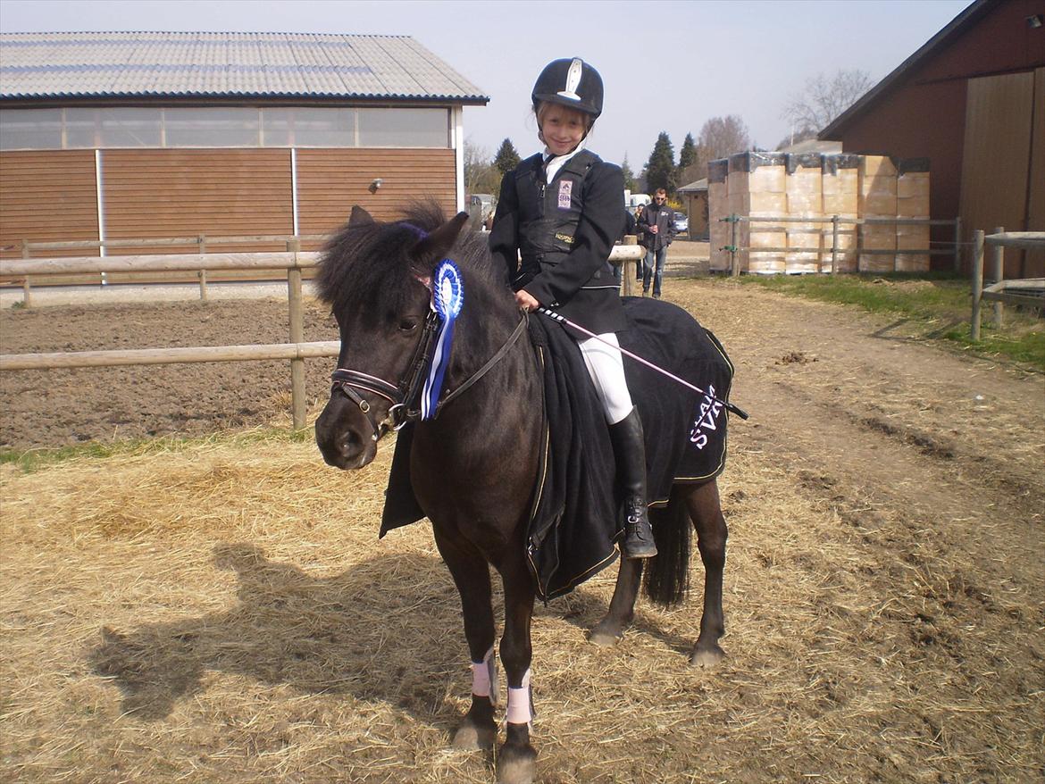 Anden særlig race Beauty  billede 5