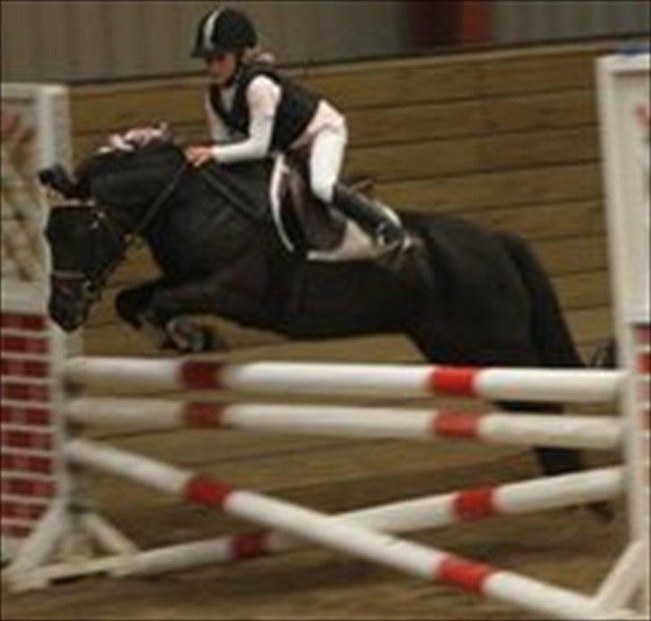 Anden særlig race Beauty  billede 6