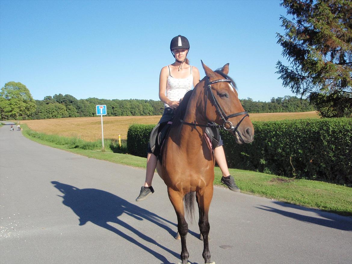 Anden særlig race Naja - Line og Naja på sommer ridetur :) billede 13