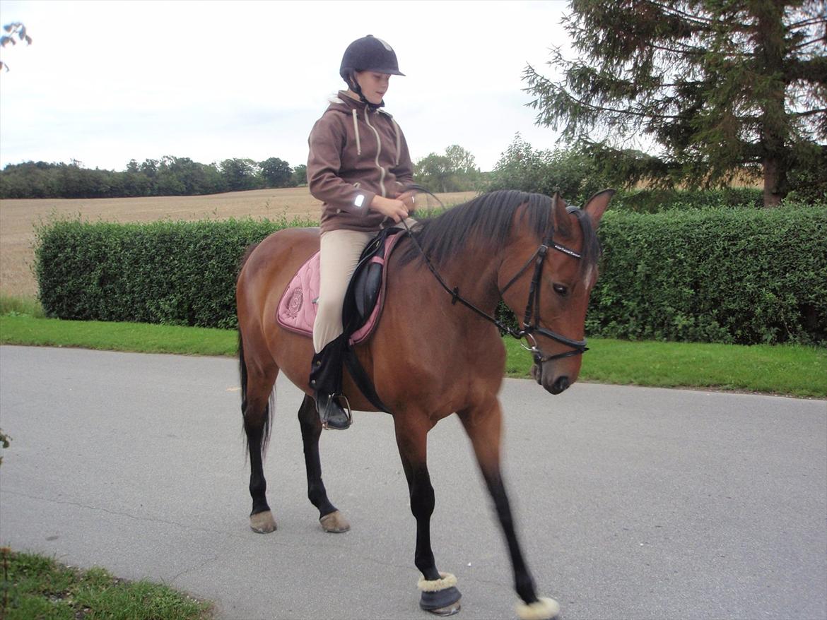 Anden særlig race Naja billede 14