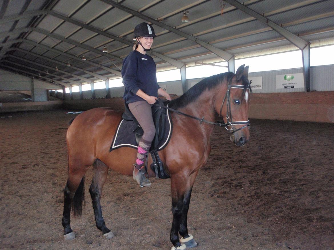 Anden særlig race Naja billede 17