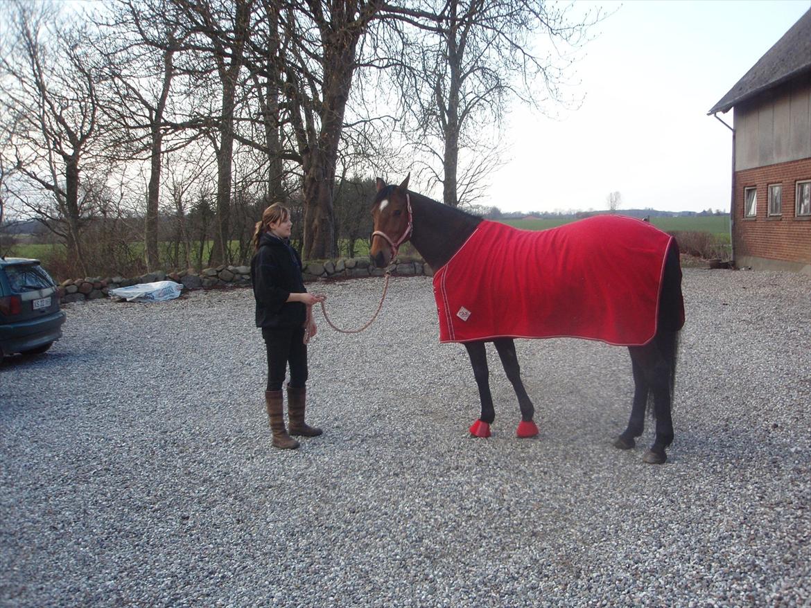 Anden særlig race Naja billede 19