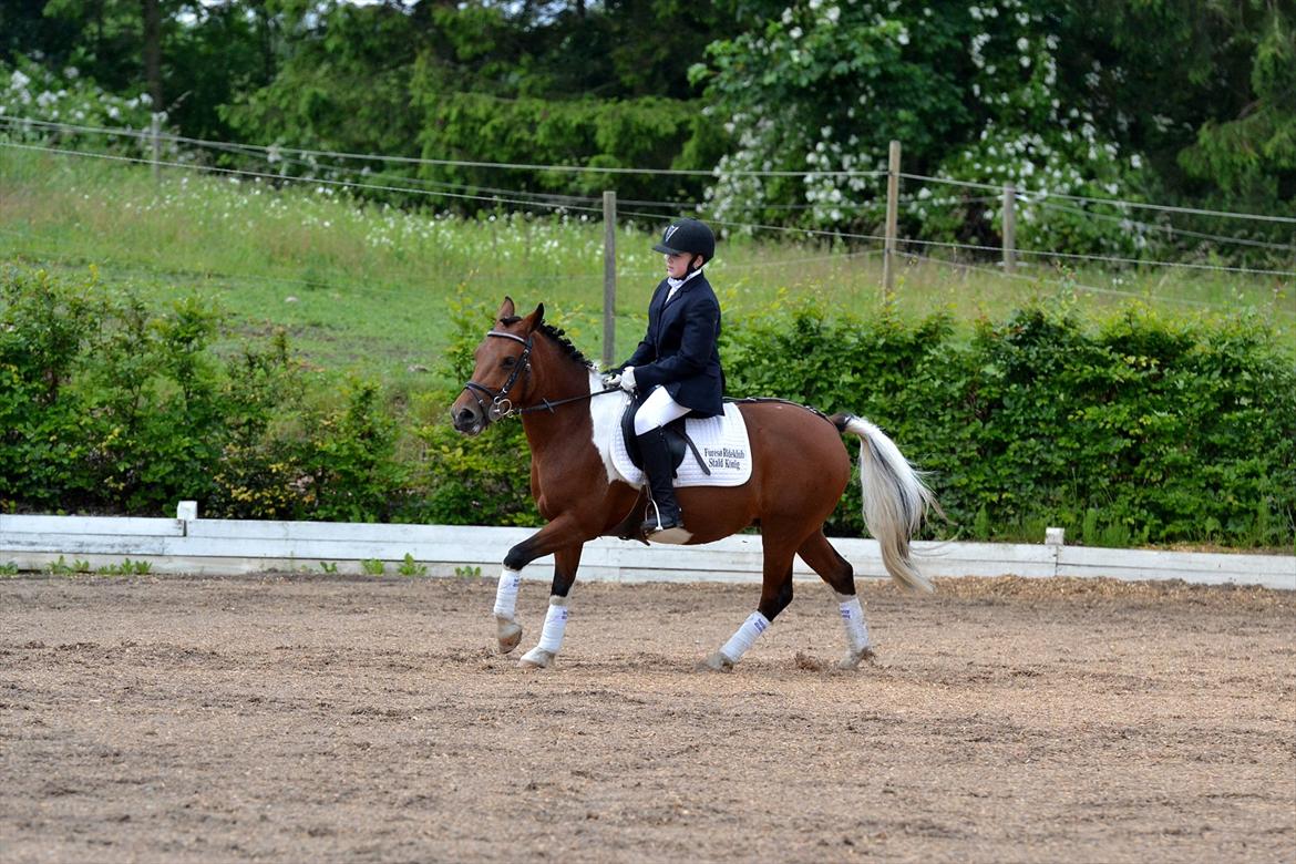 Pinto Sandie - dressur stævne Lc2
foto:?? billede 2