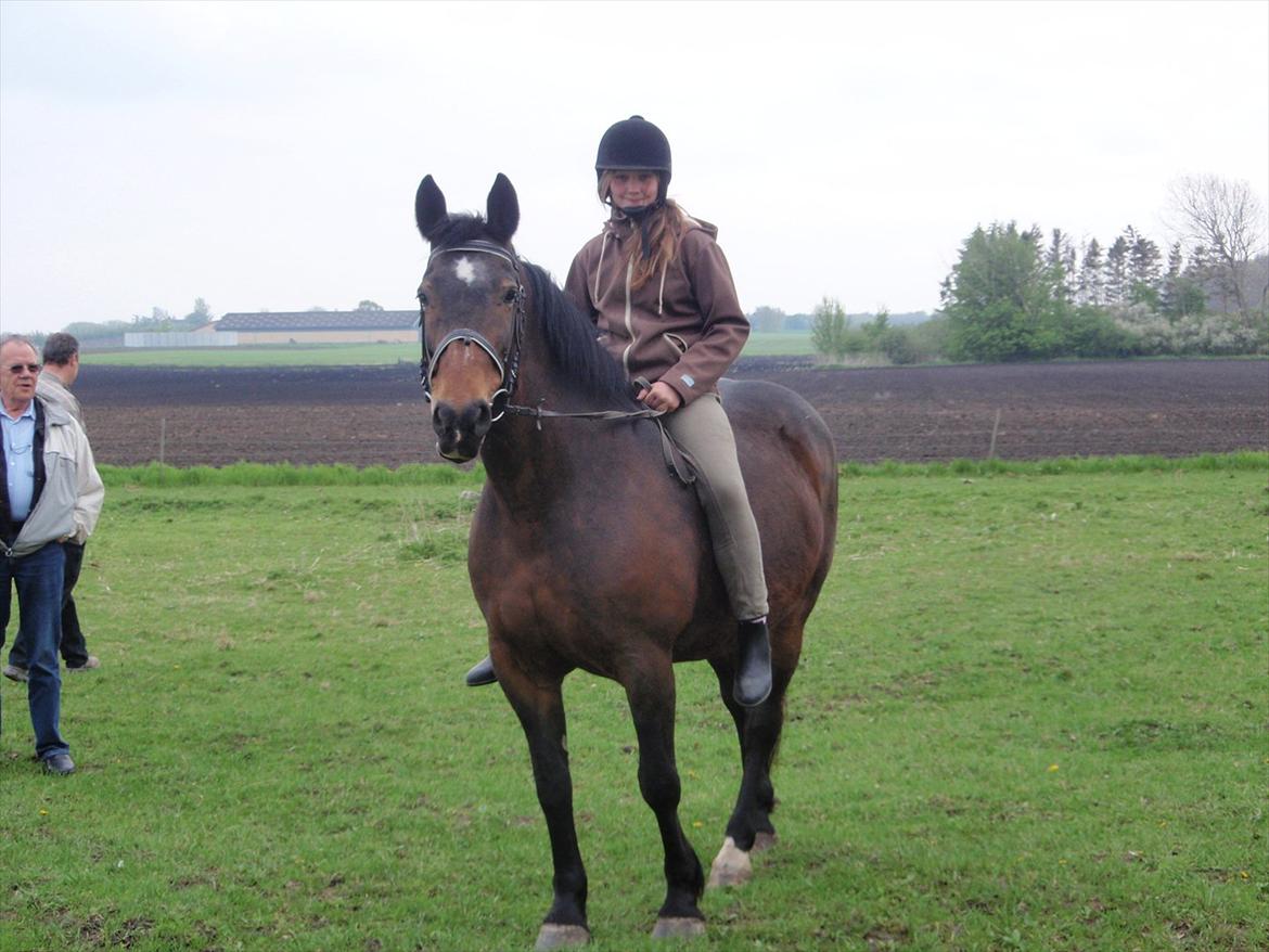 Anden særlig race Laura - Laura du er elsket og savnet<3 billede 10