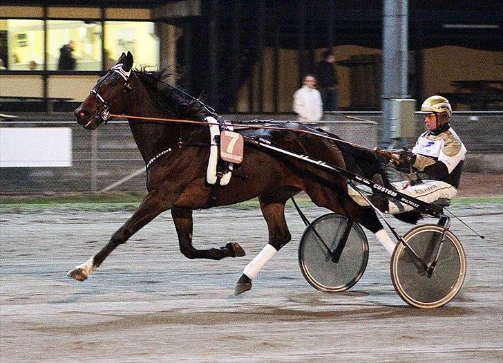 Traver Magnus Fønix - Magnus og Birger Jørgensen. billede 1