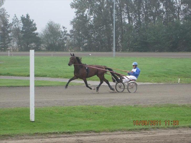 Traver Magnus Fønix - Anders og Magnus. billede 7