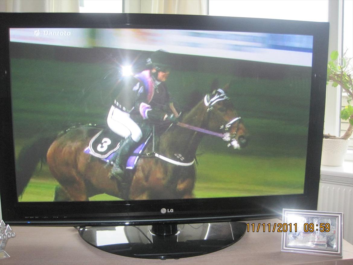 Traver Magnus Fønix - Magnus vinder monte løb.
 billede 11