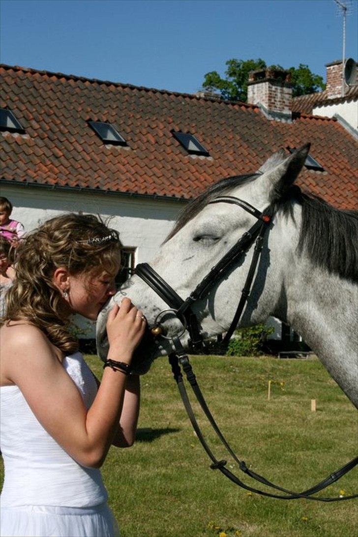 Anden særlig race Gipsy - Velkommen til Gipsys profil! billede 1