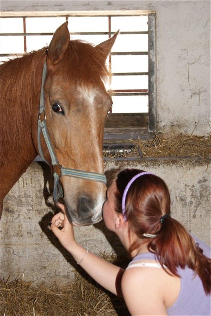 New Forest Jolly's Tanya *solgt* - Jeg elsker dig.  billede 11