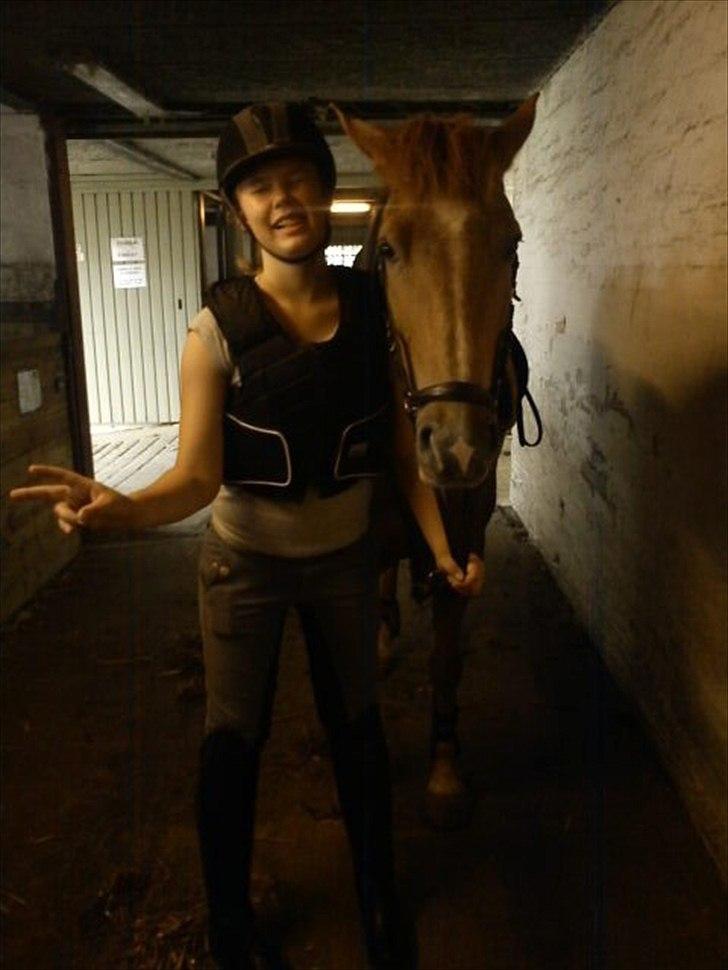 New Forest Jolly's Tanya *solgt* - :-I billede 12