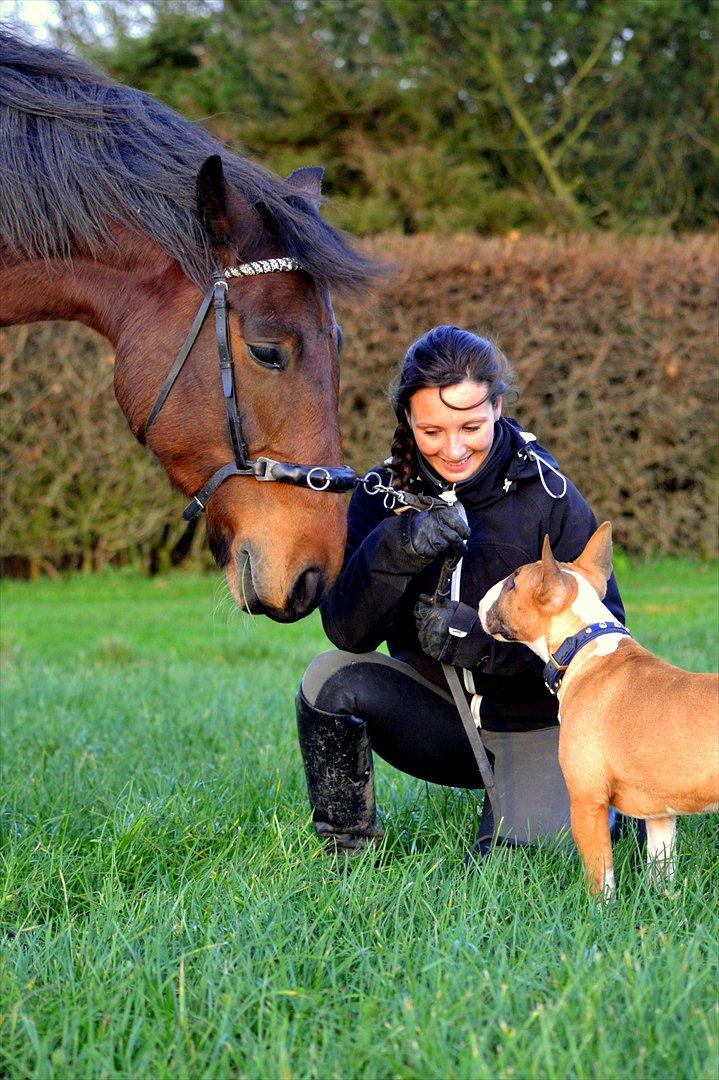 Anden særlig race Stauslykkes Le'Cato - © JW November 2011 billede 20