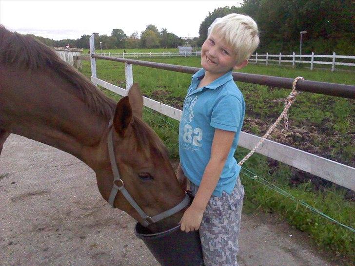 Anden særlig race Miss maja   (død) billede 1