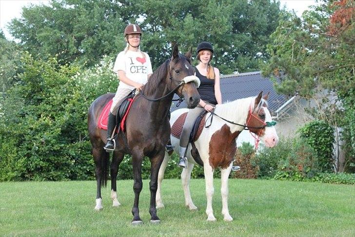 Dansk Varmblod Vesterhavegaard´s Deuchet Epona - Den bedste sommer med de bedste omkring mig <3 savner det enormt<3 billede 11