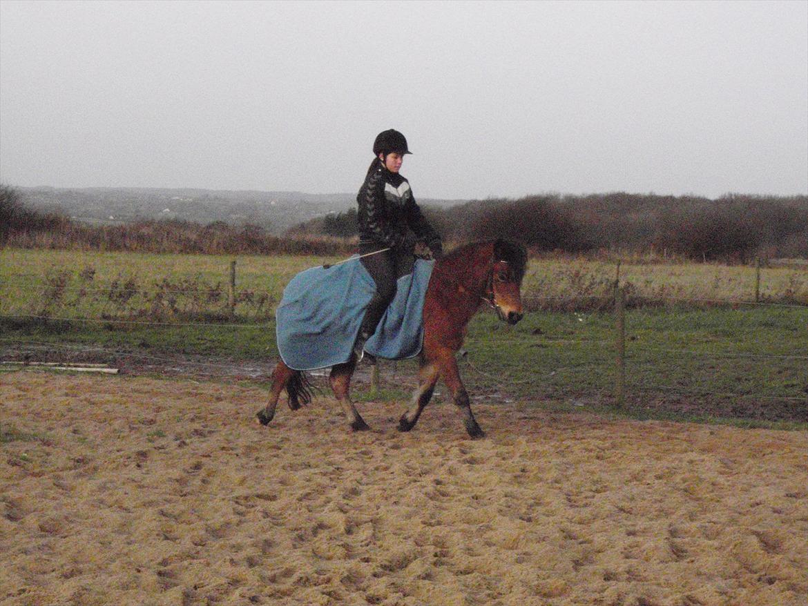 Anden særlig race Maybee. - Nanna og Maybee. billede 13