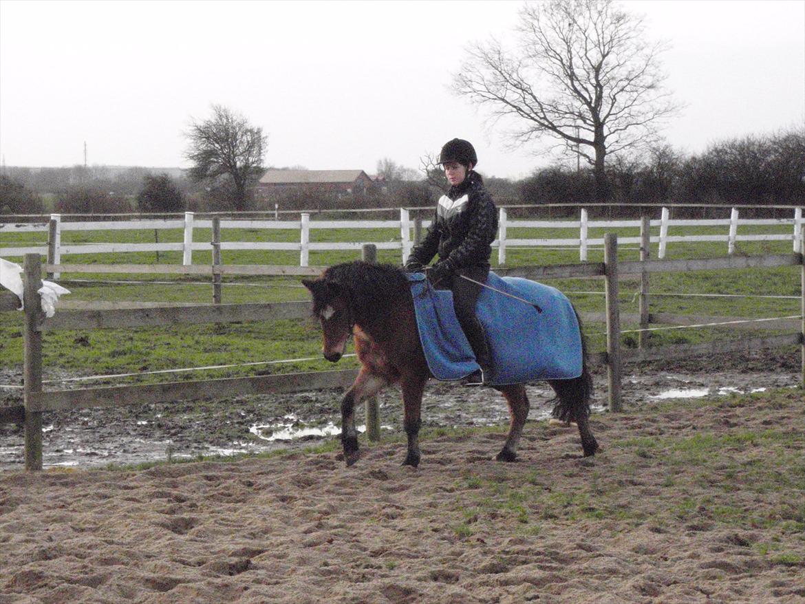 Anden særlig race Maybee. - Nanna og Maybee. billede 14