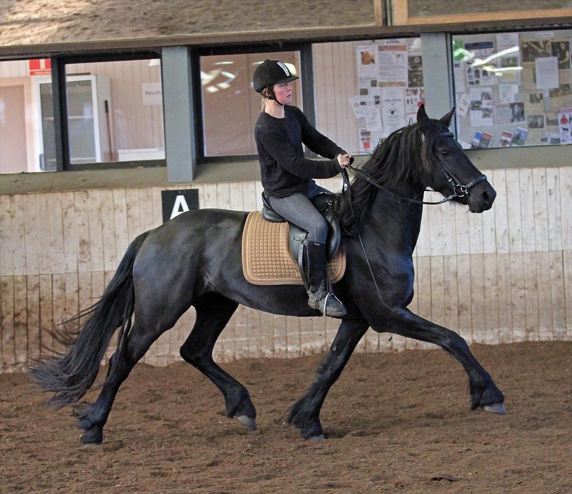Frieser Chelly<3 billede 11