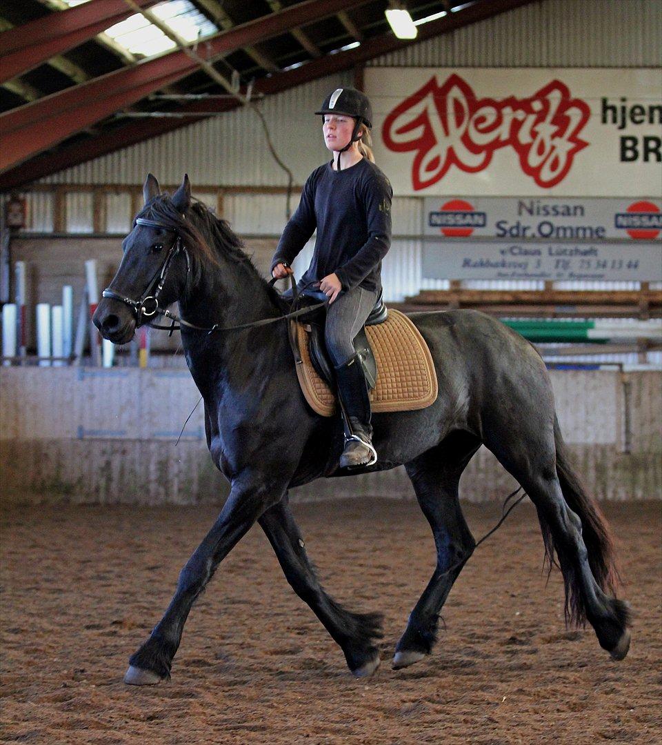 Frieser Chelly<3 billede 19