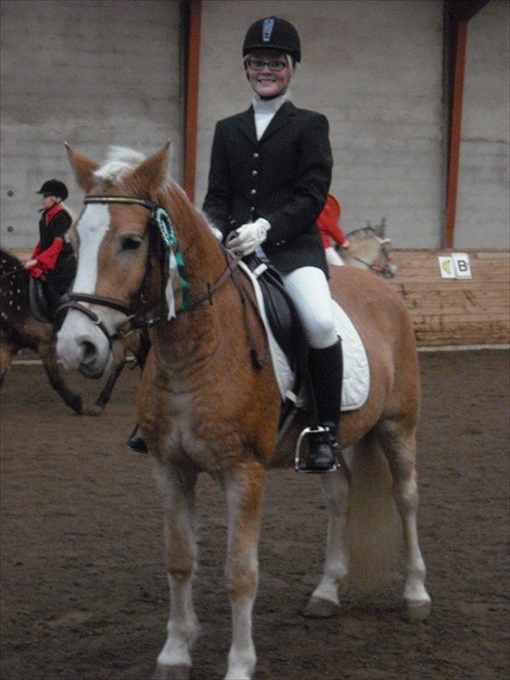 Haflinger Prins - Vores første stævne 26/11-2011
Foto: Min mor billede 13