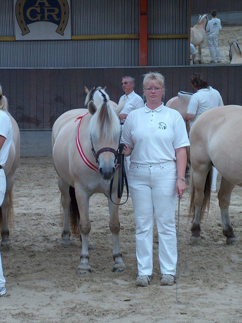Fjordhest Chili Vårby - Oprangering billede 11