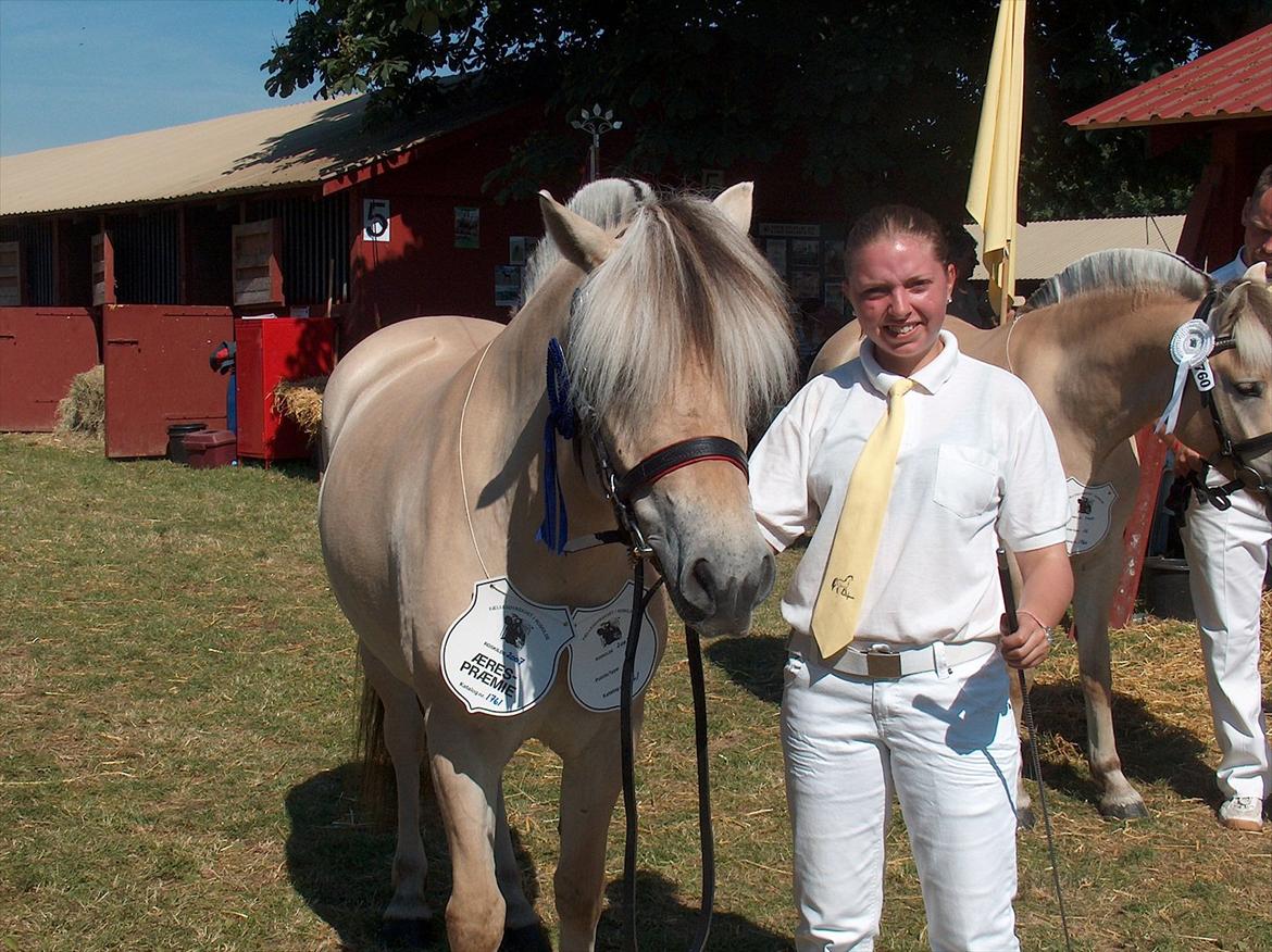 Fjordhest Chili Vårby - Chili med sin dygtige trækker Louise billede 17