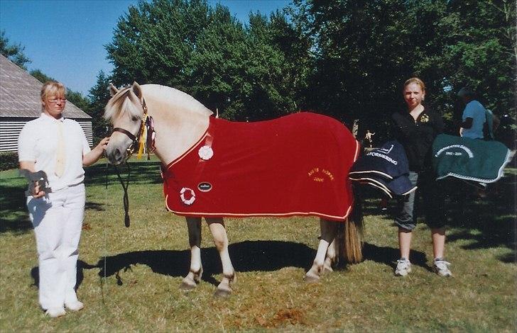 Fjordhest Chili Vårby - Chili blev årets hoppe 2006 billede 18