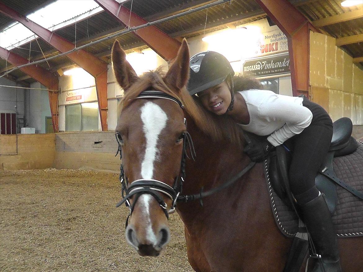 Dansk Varmblod Stedets Leda (Lille Liden) *Min øjesten* - Det var så hyggeligt!
19/11 2011 billede 4