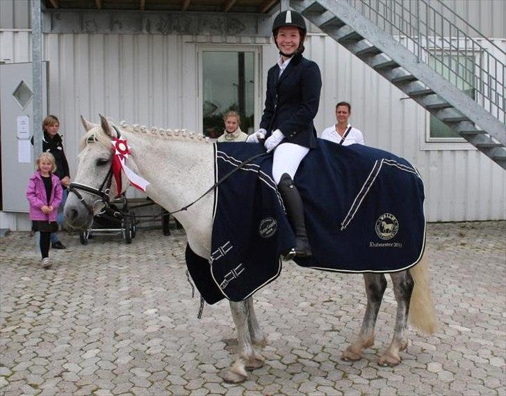 New Forest Lundemarksgårds Scarlet O'hara - Klubmester på VAL 2011. Elskede pony. <3 billede 3