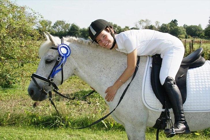 New Forest Lundemarksgårds Scarlet O'hara - KØR, August 2011, 66,?% og 2 plads. Scarlet <3 billede 6