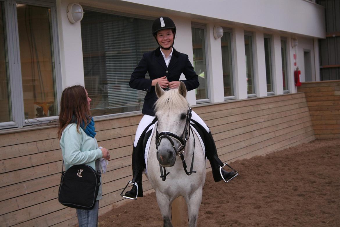 New Forest Lundemarksgårds Scarlet O'hara - Knapper lige jakken :) billede 16