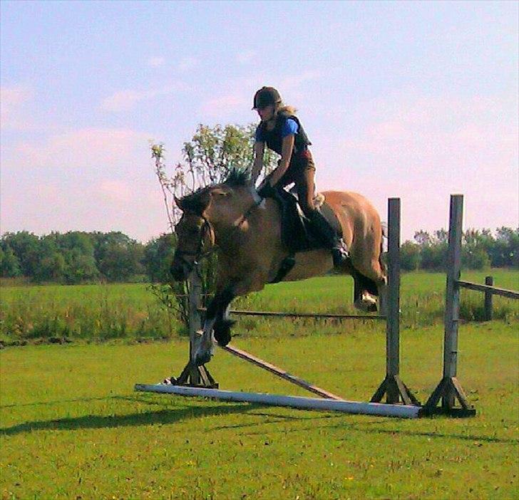 Anden særlig race B.S - Han kan faktisk løfte alle 550 kg på en gang  billede 6