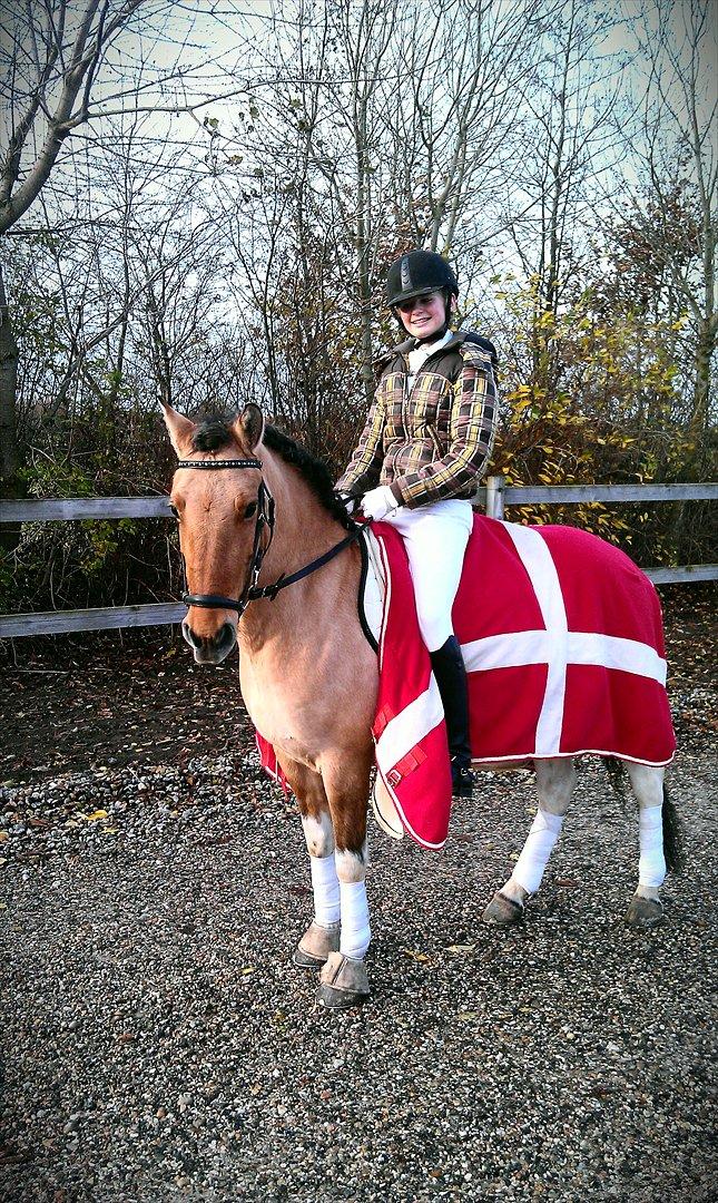 Anden særlig race Mona  l SOLGT l - Er er mig & Mona til stævne i tørring rideklub:) <3 billede 8