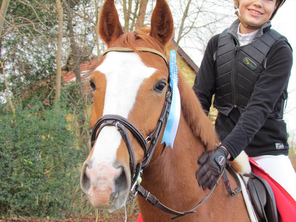 Anden særlig race Biate *Ibi* - velkommen til den sødeste ponys profil <3 læg meget gerne en kommentar og bedømelse :-)) billede 1