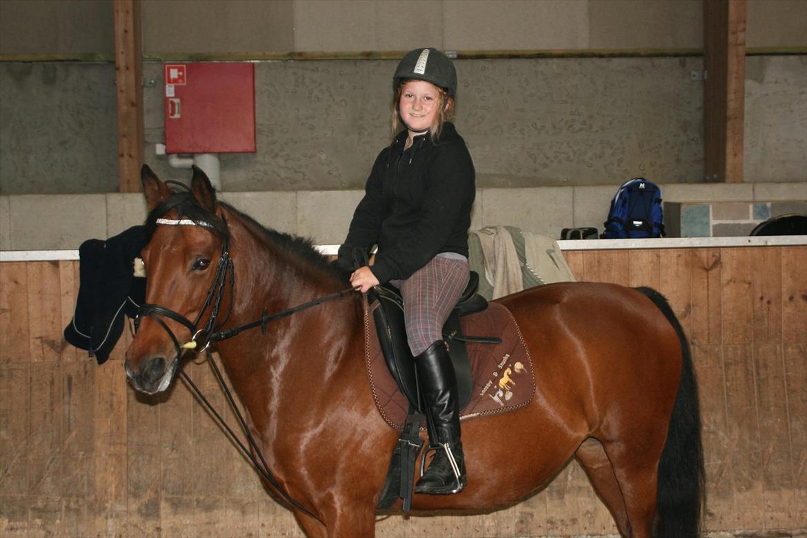 Anden særlig race Rosa billede 5