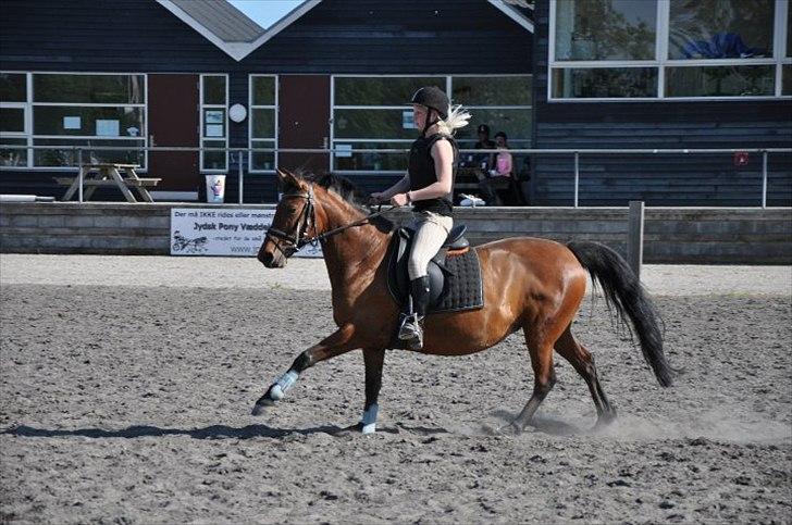 Anden særlig race Rosa - spring på Vilhelnsborg:-D billede 9