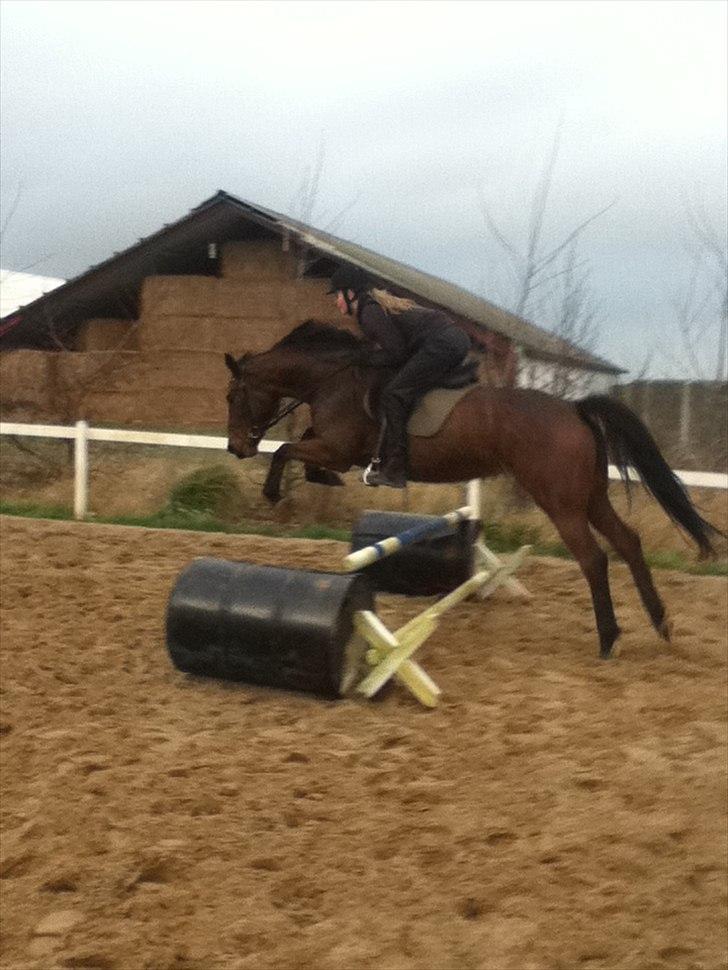 Anden særlig race Sussi/mulle-pigen<3 - jump beautiful girl;)<333 billede 12