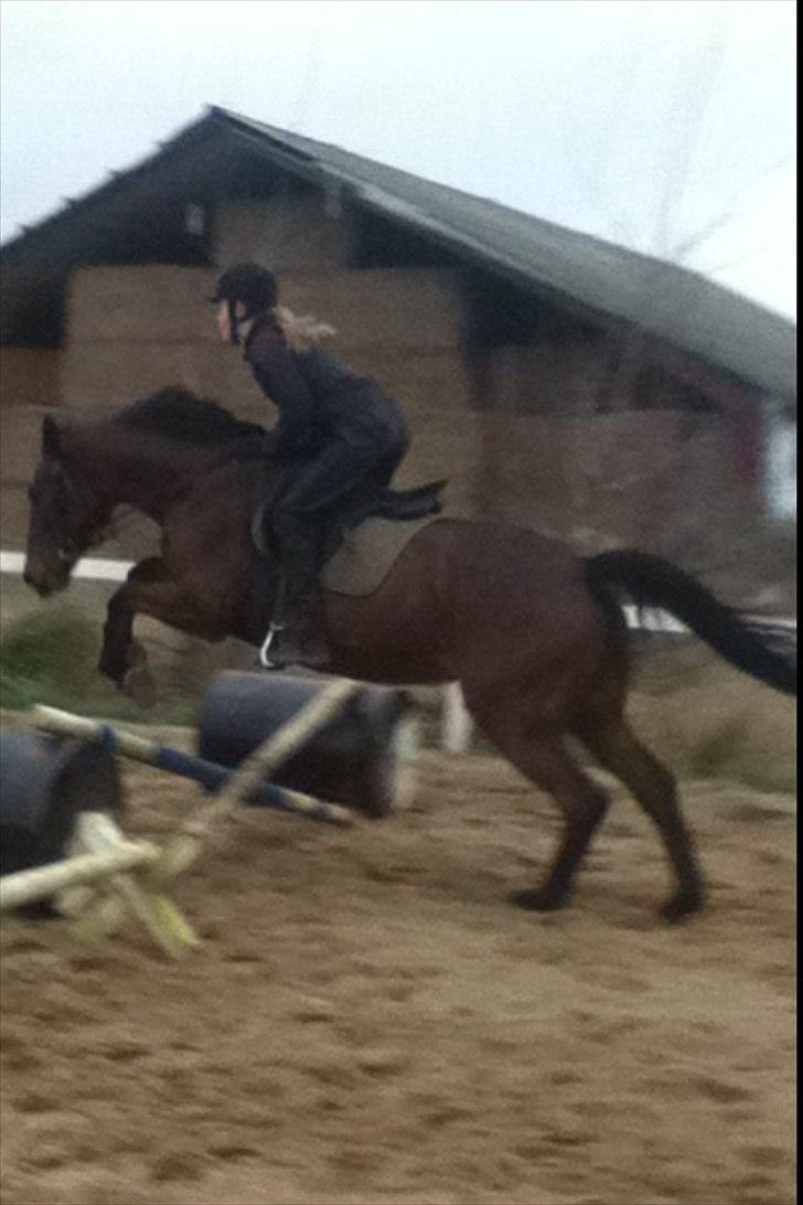 Anden særlig race Sussi/mulle-pigen<3 - jump:)<333 billede 16