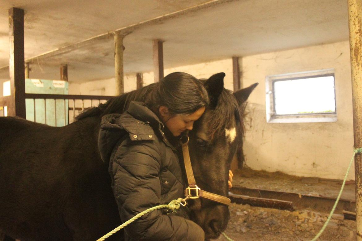 Anden særlig race CHIMAY - Sidste dag med prinsessen... Du fortjener ikke det her <3 billede 16