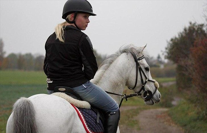 Anden særlig race Silver Jawos billede 10