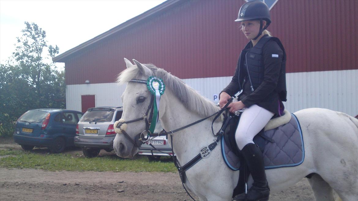 Anden særlig race Silver Jawos billede 9
