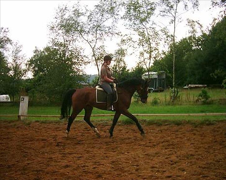 Oldenborg Talulah - med store søster på billede 1
