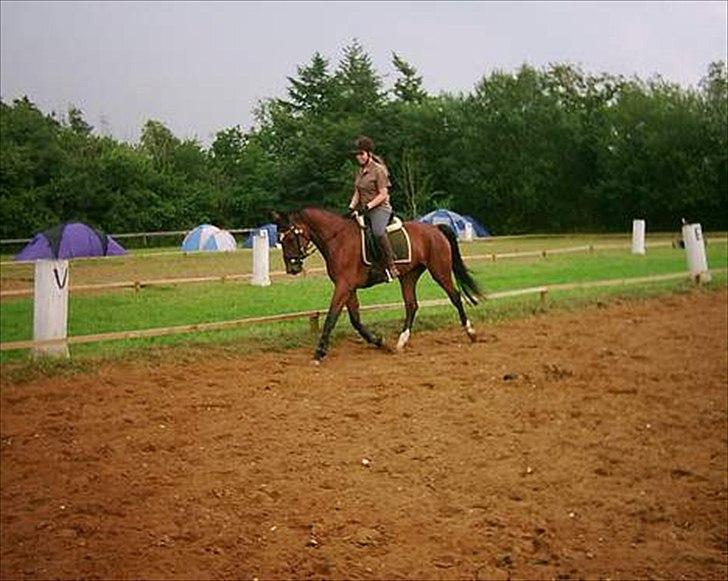 Oldenborg Talulah - Søs og talulah billede 2