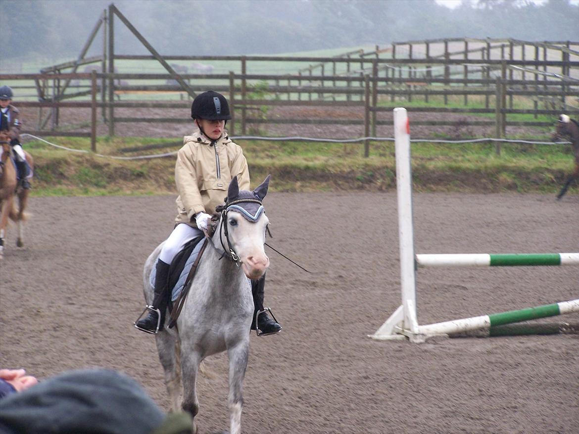 Anden særlig race Lillemand  - Velkommen til lillemands profil :D
Til "Pony and dreams future master cup" på CSC <3 Da vi var små
<3Lillemand<3 billede 1