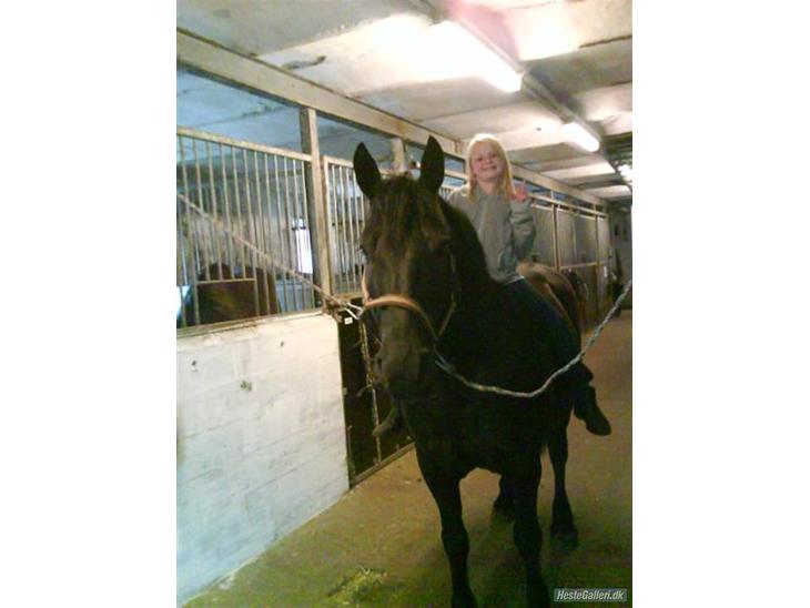 {{currentPhoto.altText}} billede {{currentPhoto.number}}